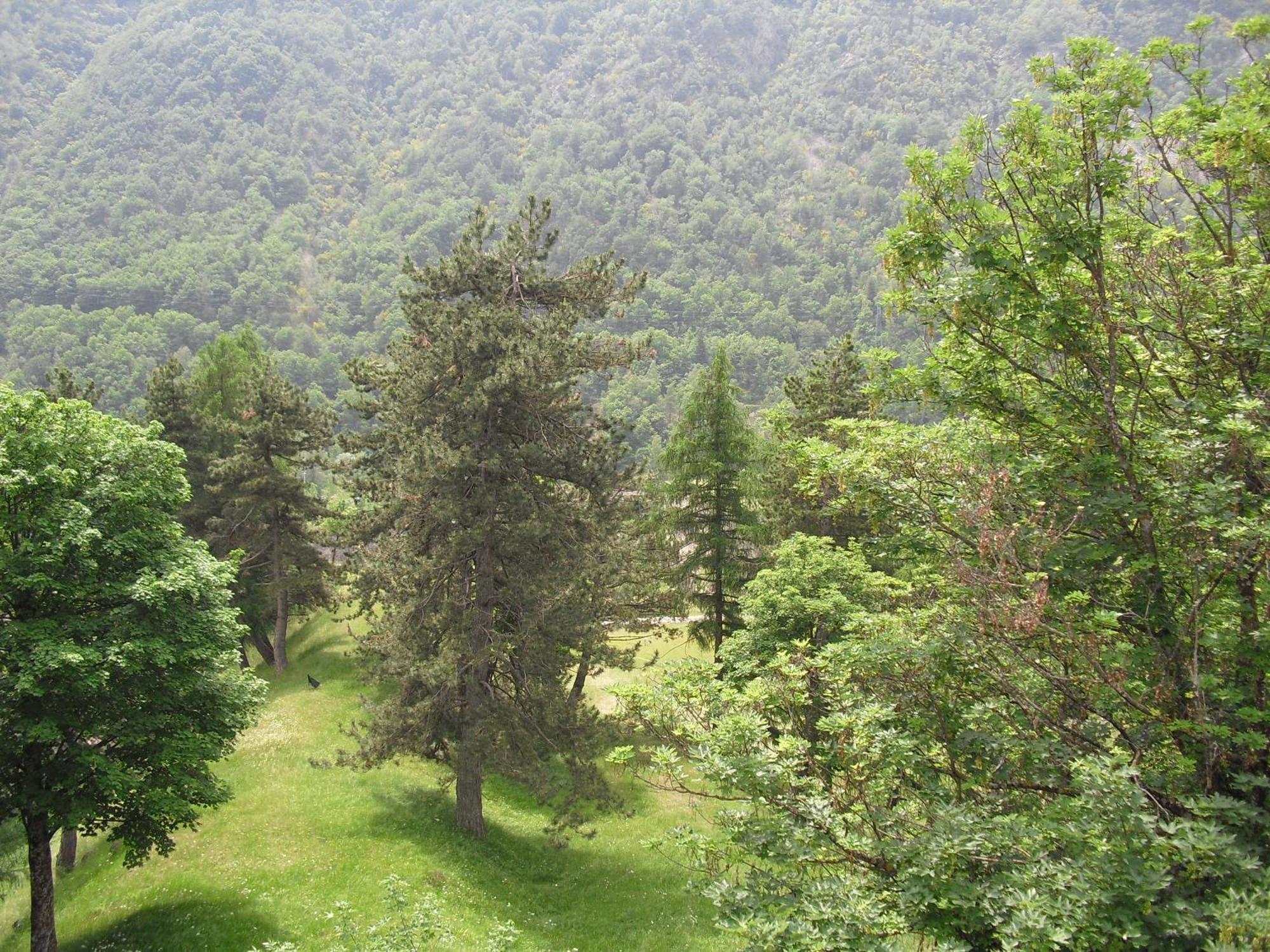 Chalet Monte Nebius فيناديو المظهر الخارجي الصورة