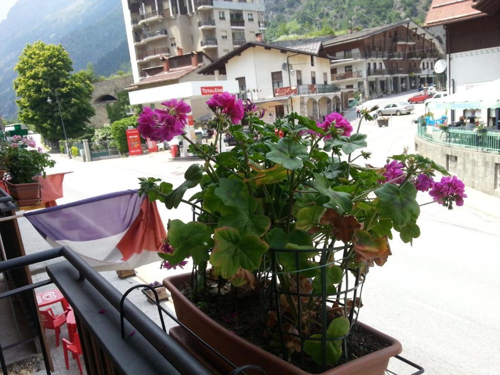 Chalet Monte Nebius فيناديو الغرفة الصورة