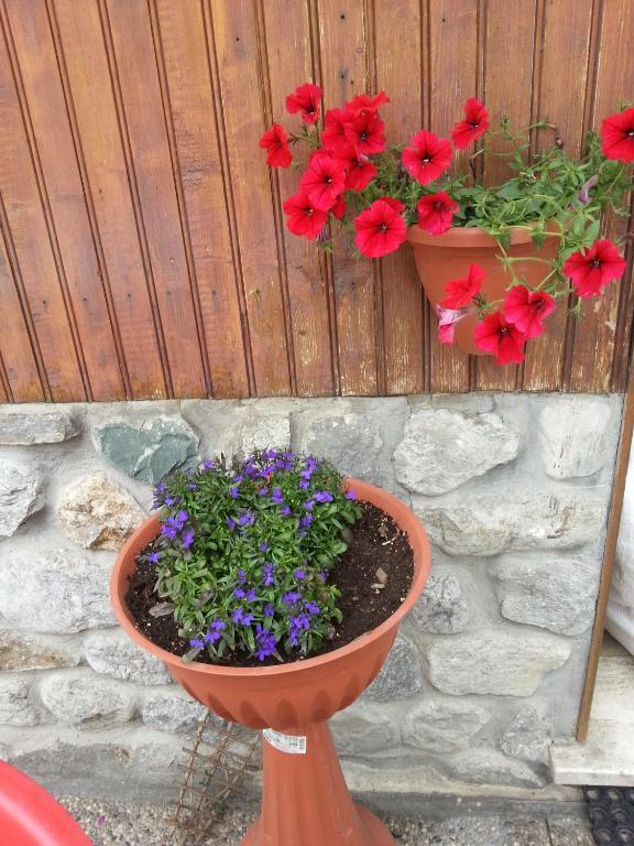 Chalet Monte Nebius فيناديو المظهر الخارجي الصورة